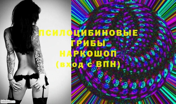 тгк Пересвет