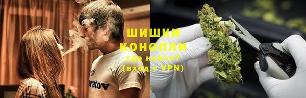 дмт Осинники