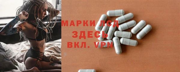 дмт Осинники