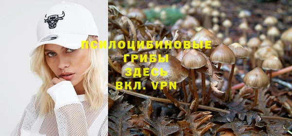 шишки Пестово