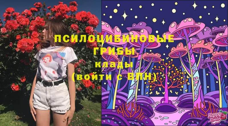 Галлюциногенные грибы Magic Shrooms  Железногорск-Илимский 